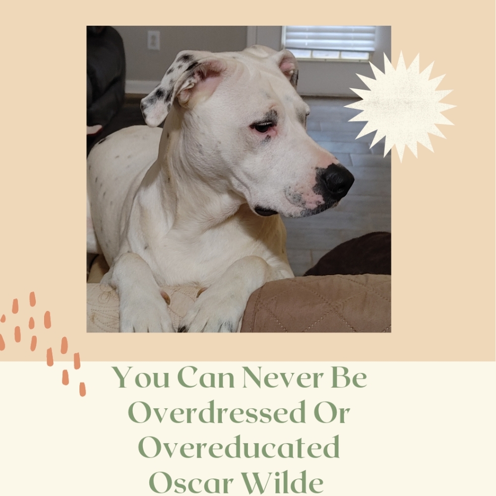 You Can Never Be...